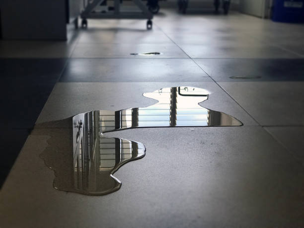 Best Commercial water damage restoration  in South Gull Lake, MI