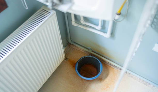Carpet water damage restoration in South Gull Lake, MI